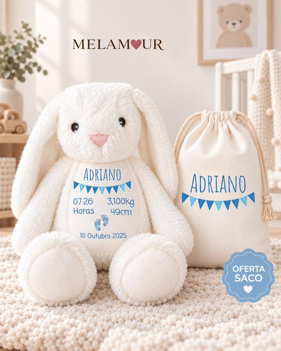 Coelho com Dados de Nascimento + Saco | Presentes Baby